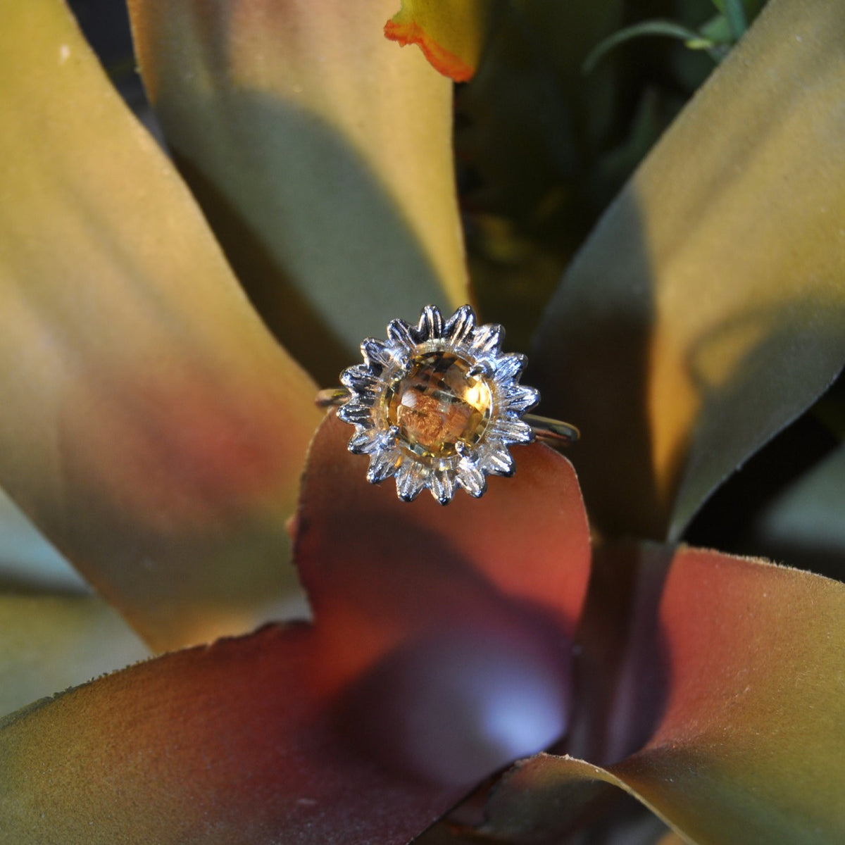 Anello Girasole dorato con Citrino